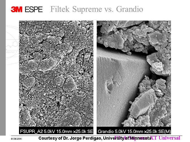 Filtek Supreme vs. Grandio Courtesy of Dr. Jorge Perdigao, University of Minnesota Filtek Supreme vs. Grandio Courtesy of Dr. Jorge Perdigao, University of Minnesota